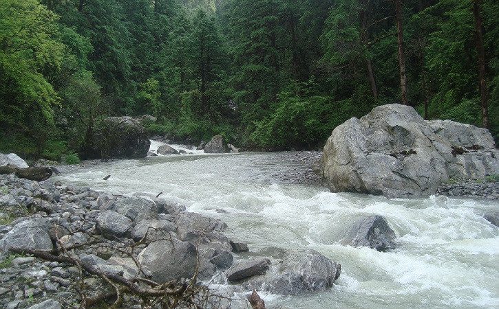 कालिकाेटमा खोलाले बगाउँदा एकै परिवारका चार जनाको मृत्यु